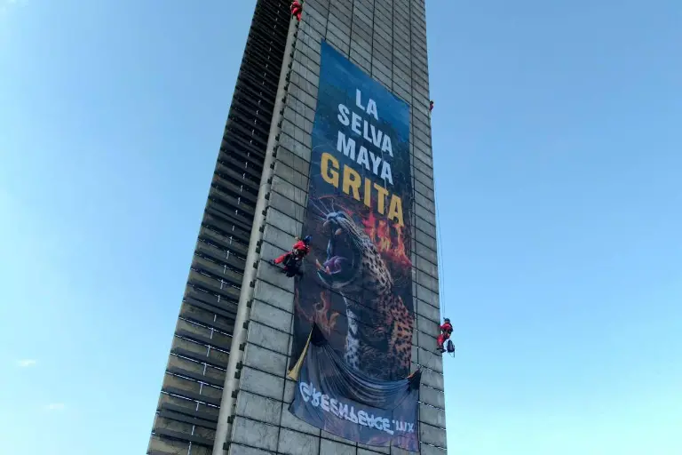 green-01_1-11357357_20250923165018-dOqZ4p4DEzIB81RN