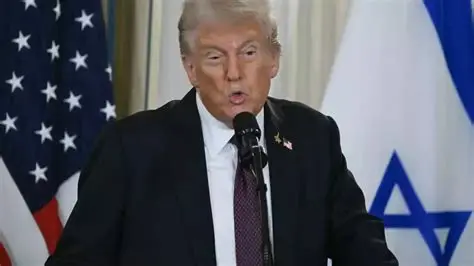 oif-5-m7VDvwEwgRS37bN8