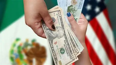 oip-6-mePgx6X37qibo9Xy